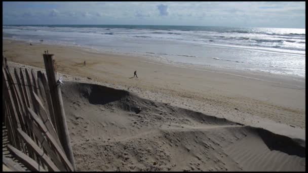 Hav, Sand och sanddyner-människor leker och promenerar på stranden — Stockvideo