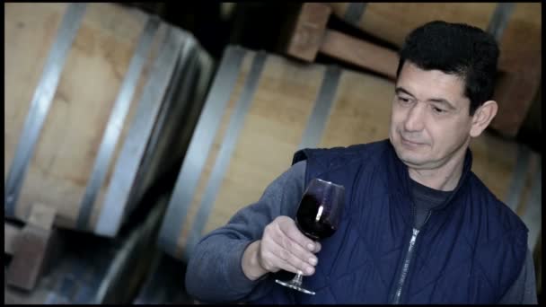 Enólogo fazendo teste de vinho na adega adega — Vídeo de Stock