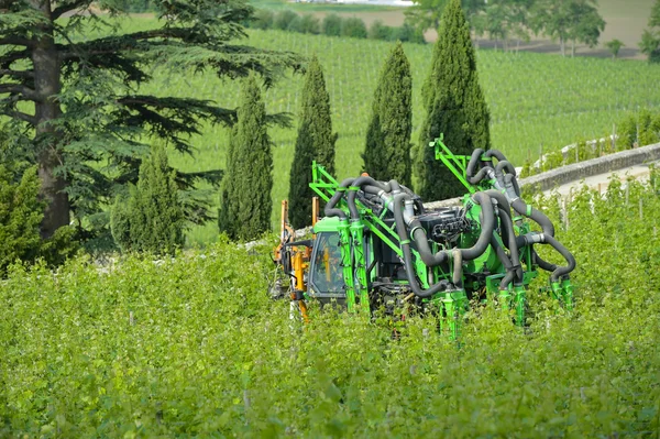 機械のぶどう Harvest.Trimming ・ トッピング — ストック写真