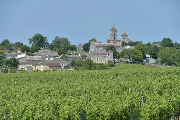 Bağ ve Köyü, Montagne Saint-Emilion — Stok fotoğraf