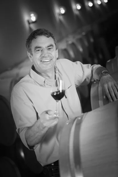 Man tasting wine in cellar, Saint-Emilion, Bordeaux Wineyard, Fr — Stock Photo, Image