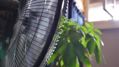 Yaz aylarında fan bir evde