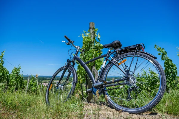 Винный туризм-велосипед в виноградниках Бордо — стоковое фото
