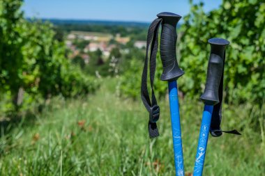 Şarap Turizm-hiking ayakkabı çifti çim vineya çevrili