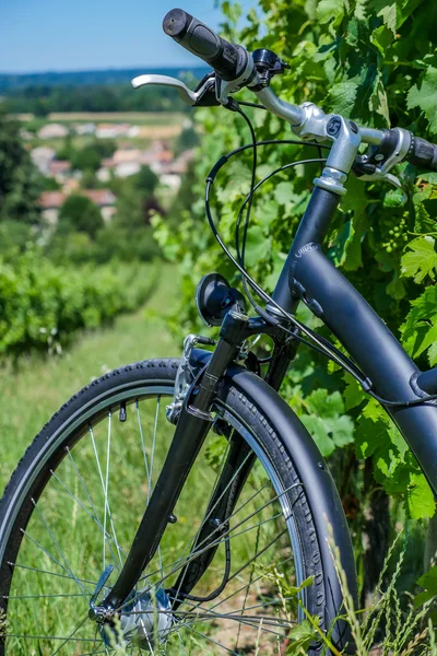 Turismo de Vinho-Bicicleta em vinhedos de Bordeaux — Fotografia de Stock