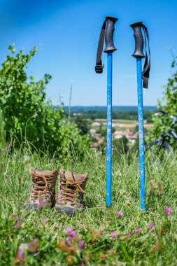 Wine Tourism-Pair of hiking shoes in the grass surrounded vineya clipart