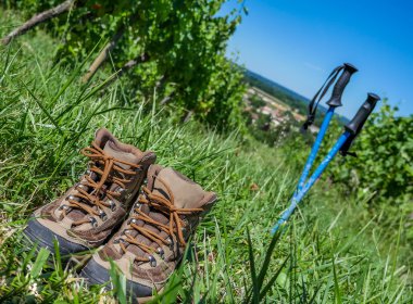 Şarap Turizm-hiking ayakkabı çifti çim vineya çevrili