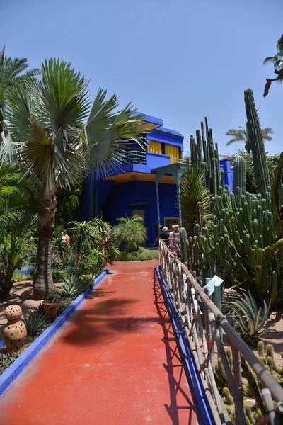 Jardin Majorelle, Marrakesh, Morocco