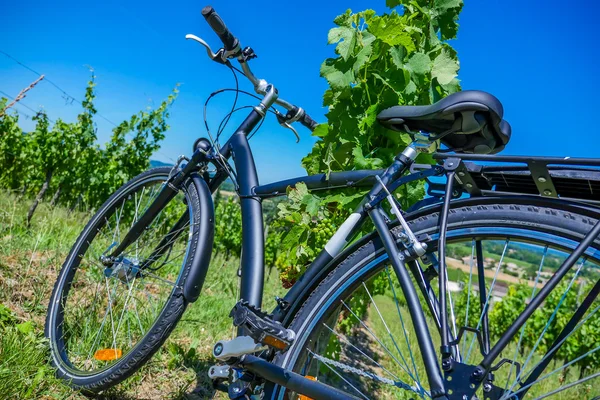 Turismo de Vinho-Bicicleta em vinhedos de Bordeaux — Fotografia de Stock