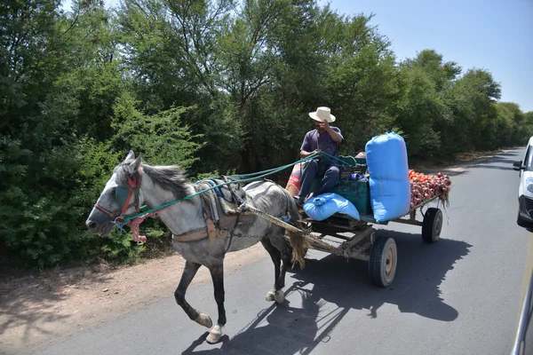 Fermier transportant des légumes sur une charrette tirée par un cheval-Maroc — Photo