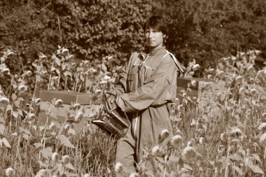 Kaleci arı arı Hives ayçiçeği fiel içinde ile çalışma