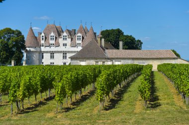 Bergerac-Dordogne-Fransa'nın kale Montbazillac-bağ