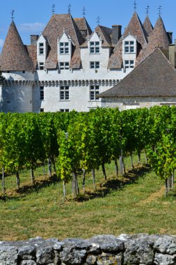 Bergerac-Dordogne-Fransa'nın kale Montbazillac-bağ