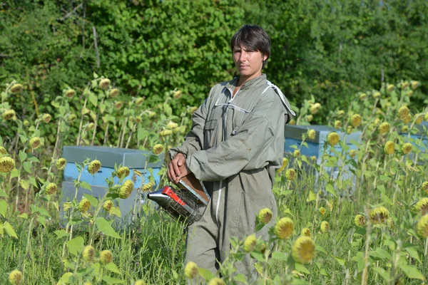 Bee Keeper spolupracuje s Bee Hives v slunečnicových polí — Stock fotografie