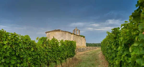 Weinberg und alte Kirche Sonnenaufgang - Landschaft - bordeaux Weinberg — Stockfoto