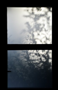 Doğa-arka planda kapı girişi