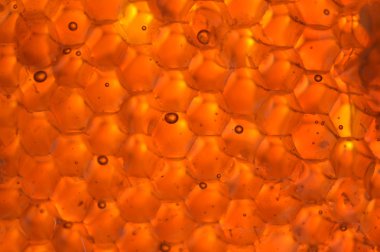 Yapışkan honeycom sızmaya tatlım