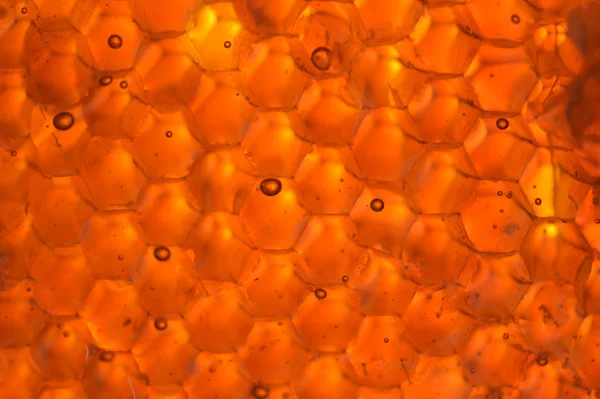 Mel que escorre de honeycom pegajoso — Fotografia de Stock