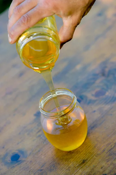 Miel dégoulinant d'une cuillère à miel dans un arc en verre — Photo