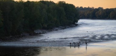Surfers catch waves created by the tidal bore at Vague du Mascaret in Podensac, Gironde during the late afternoon. The shoreline reflects the warm colors of the setting sun.