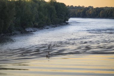 Surfers catch waves created by the tidal bore at Vague du Mascaret in Podensac, Gironde during the late afternoon. The shoreline reflects the warm colors of the setting sun.