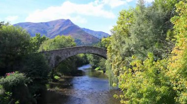 Fransa, Pirenes-Atlantik, Bask Bölgesi, Saint-Etienne de Baigorry, Nive Nehri 'ni kapsayan Roma köprüsü. Yüksek kalite 4k görüntü
