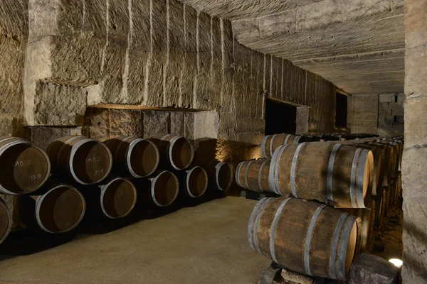 Barrels in Wine Cellar — Stock Photo, Image