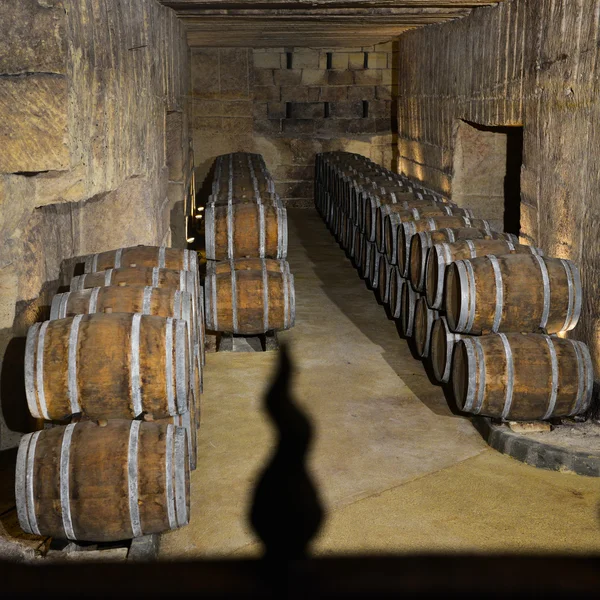 Barils dans la cave à vin — Photo