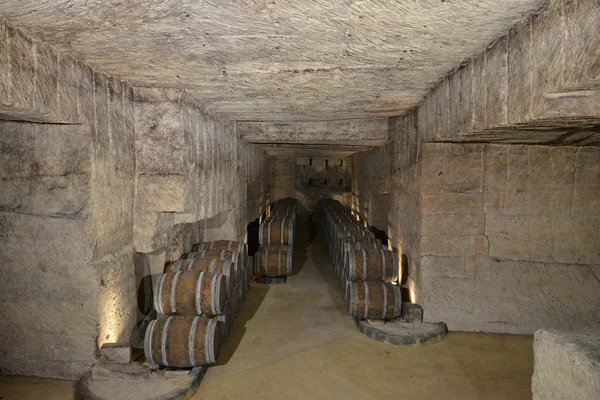 Barrels in Wine Cellar — Stock Photo, Image