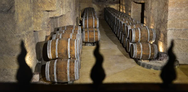 Barrels in Wine Cellar — Stock Photo, Image