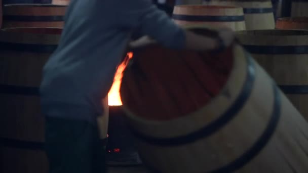 Manufacturing wine barrels-Bordeaux Vineyard — Stock Video