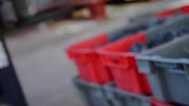 Bir sandık palet üzüm hasat sırasında taşıma forklift