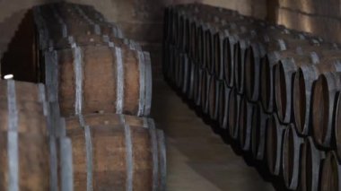 Fıçıların içinde şarap mahzeni Bordeaux üzüm bağı