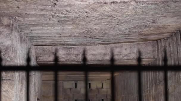 Barriques dans la cave à vin Bordeaux Vineyard — Video