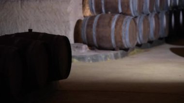 Fıçıların içinde şarap mahzeni Bordeaux üzüm bağı
