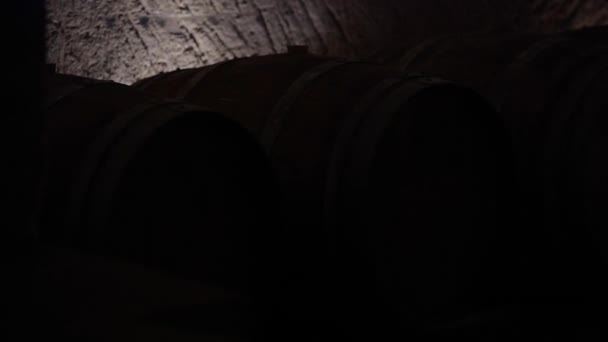 Vaten in wijnkelder Bordeaux wijngaard — Stockvideo