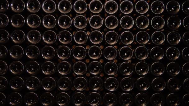 Şarap şişeleri-Bordeaux üzüm bağı yığını — Stok video