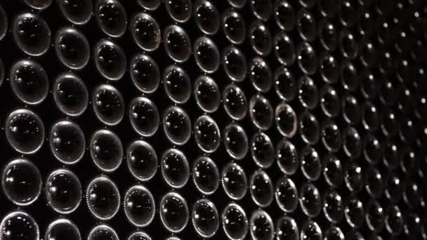 와인 병-보르도 포도밭의 스택 — 비디오