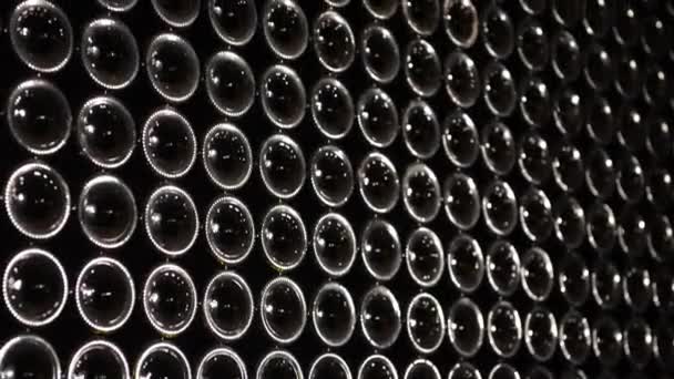 Stack of wine bottles-Bordeaux Vineyard — Stock Video