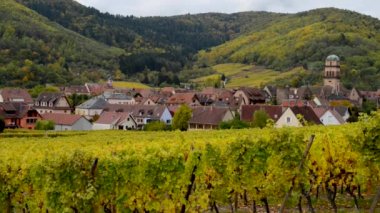 Köy ve bağ Alsace Fransa