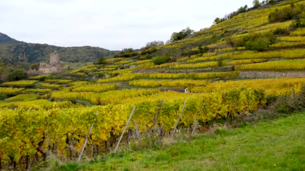 Vesnice a vinice ve Francii Alsasko — Stock video