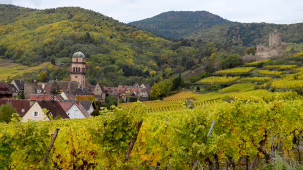 Dorp en de wijngaard in Elzas Frankrijk — Stockvideo