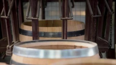 Şarap varil-Bordeaux üzüm üretim