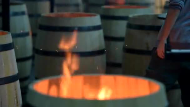 Fabricação de barris de vinho-Bordeaux Vineyard — Vídeo de Stock