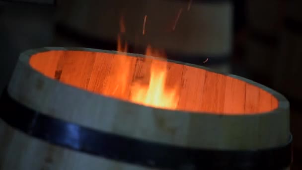 Fabricação de barris de vinho-Bordeaux Vineyard — Vídeo de Stock