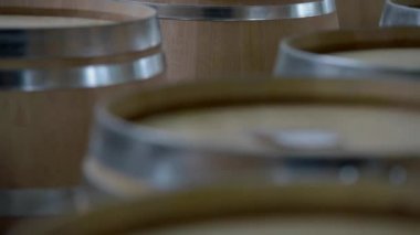 Şarap varil-Bordeaux üzüm üretim