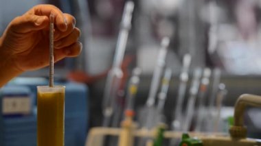 Winemaker Winery içinde şarap Test yapma