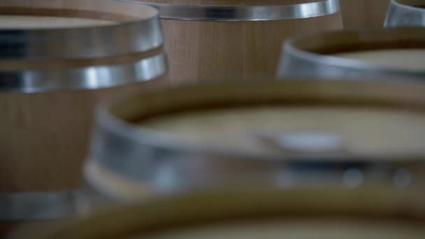 Fabrication de tonneaux de vin-Vignoble Bordeaux — Video