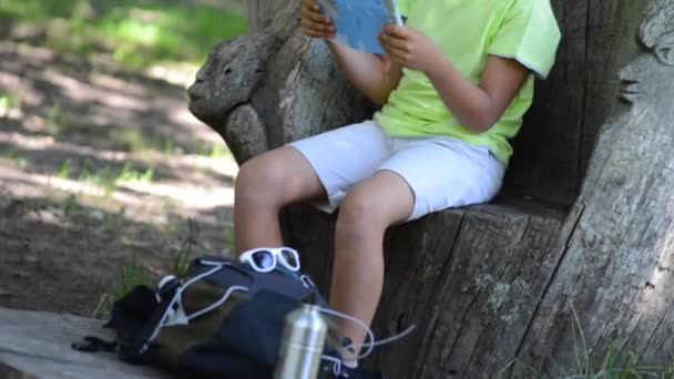 Petit garçon marchant seul dans une forêt à l'aide d'une carte — Video