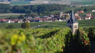 Ville yakın Marne bölümünün Montagne de Reims alanında şampanya üzüm bağları-Dommange, şampanya Ardennes, Fransa, Europe